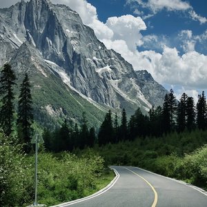 左妻右妾网站地址在线观看
